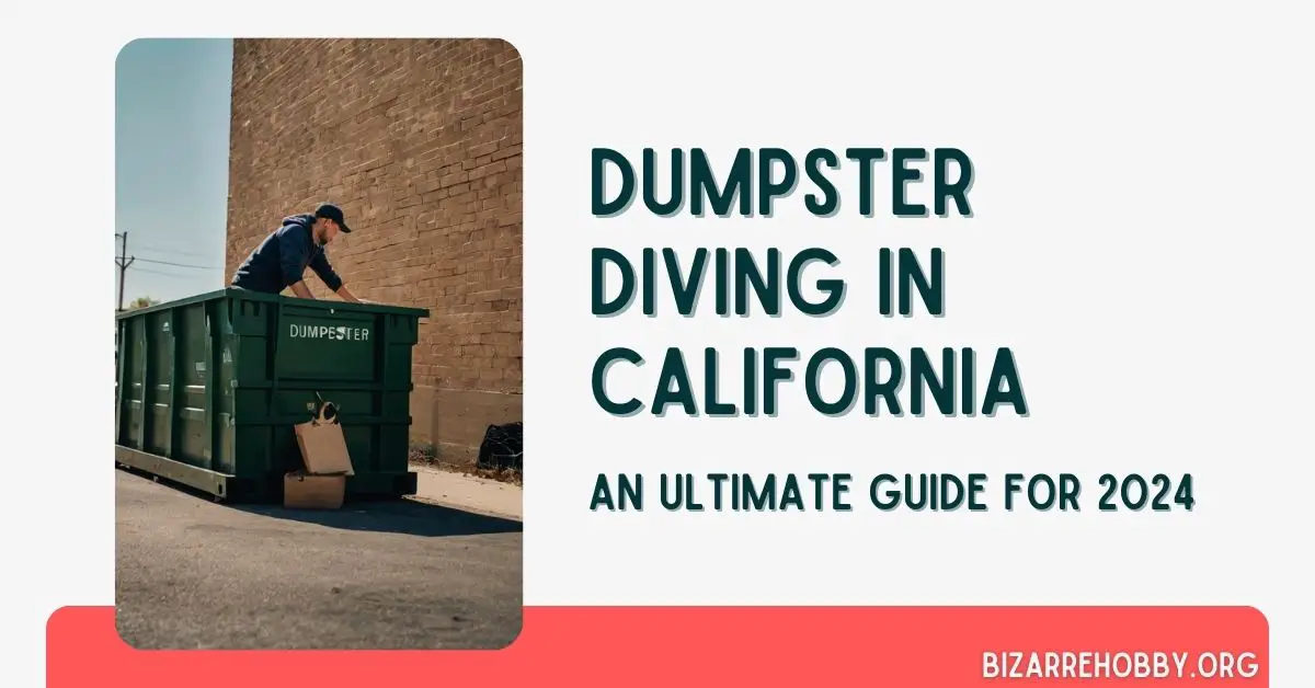 Dumpster Diving in California - BizarreHobby