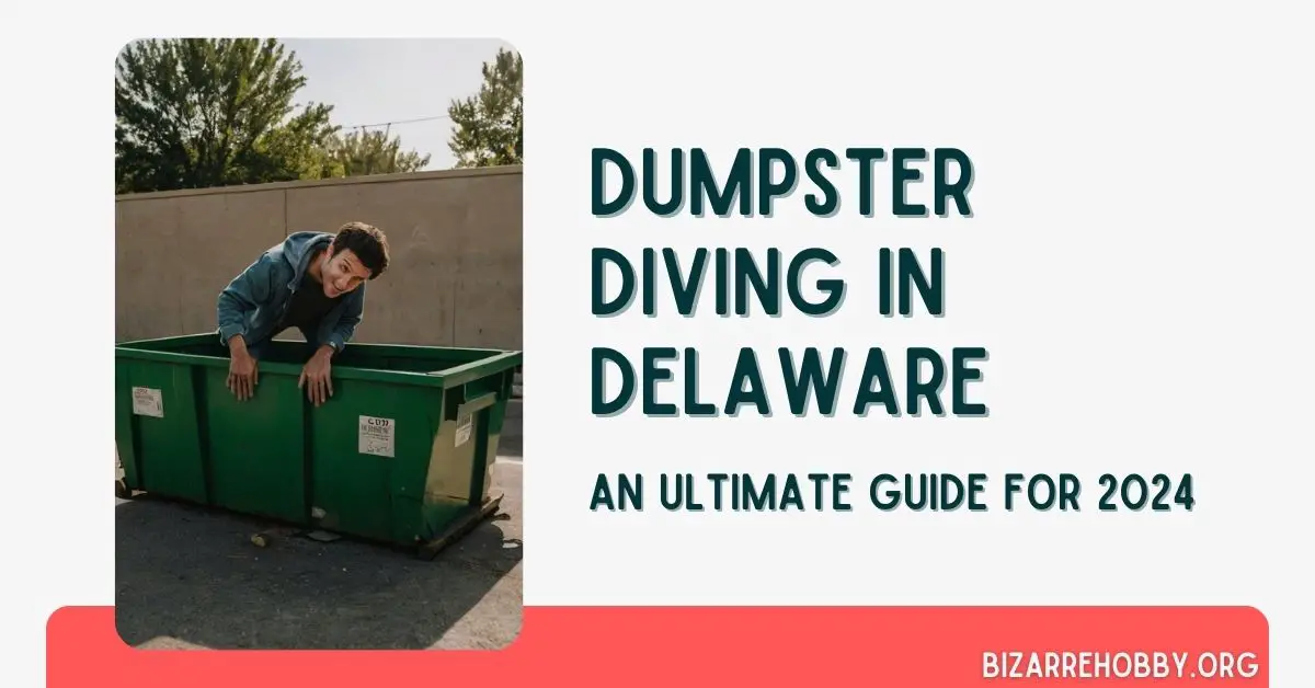 Dumpster Diving in Delaware - BizarreHobby
