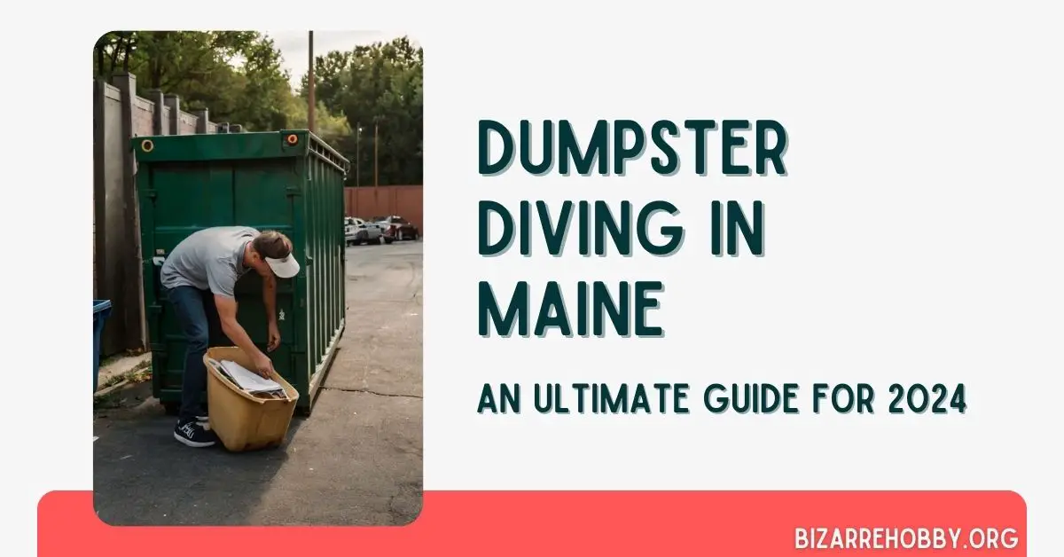 Dumpster Diving in Maine - BizarreHobby