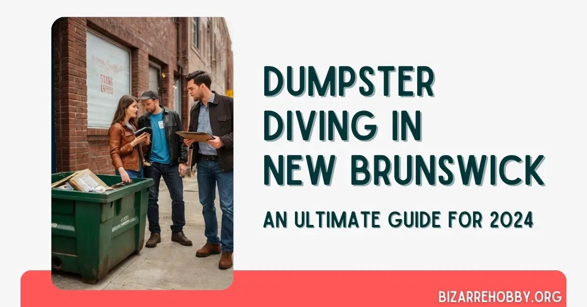 Dumpster Diving in New Brunswick - BizarreHobby