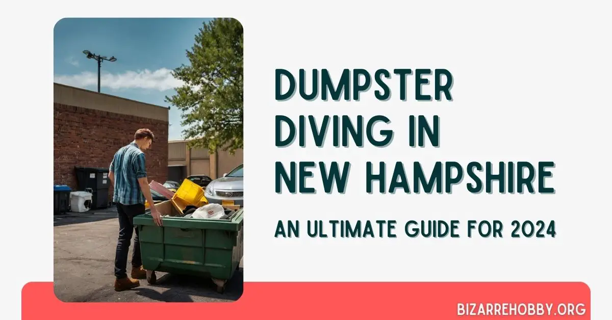 Dumpster Diving in New Hampshire - BizarreHobby