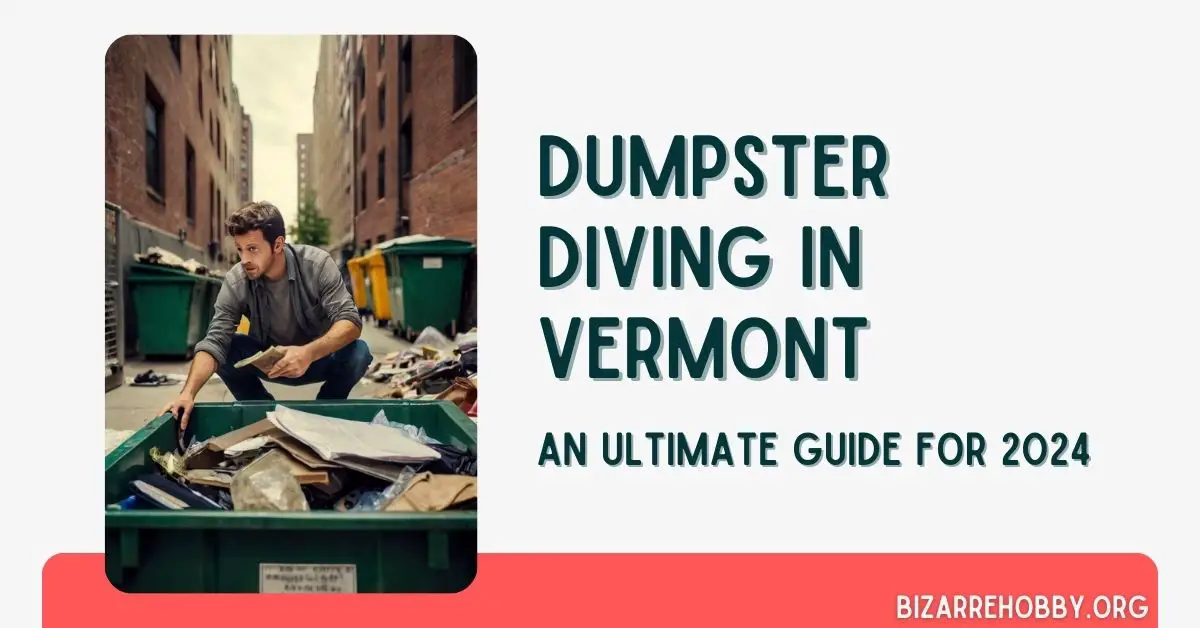 Dumpster Diving in Vermont - BizarreHobby