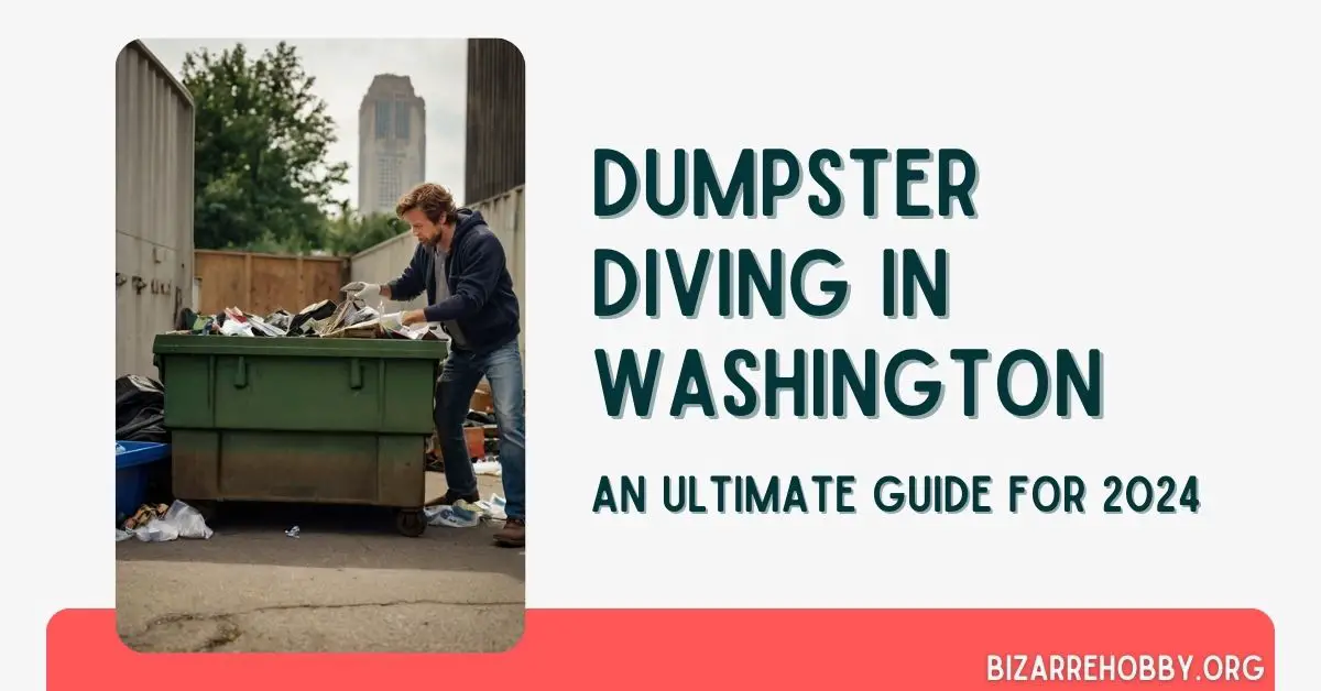 Dumpster Diving in Washington - BizarreHobby