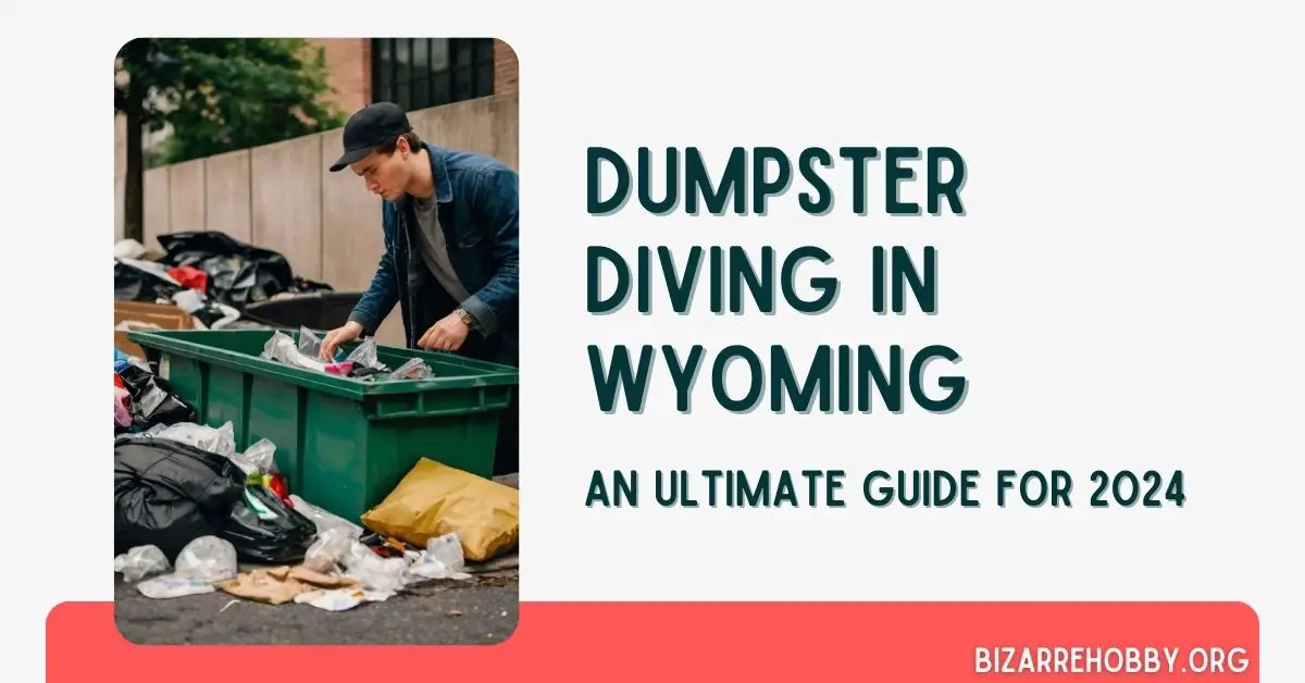 Dumpster Diving in Wyoming - BizarreHobby