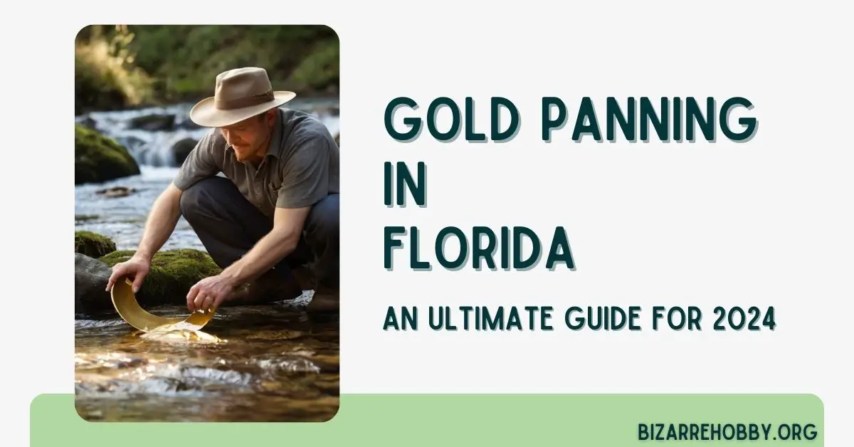 Gold Panning in Florida - BizarreHobby