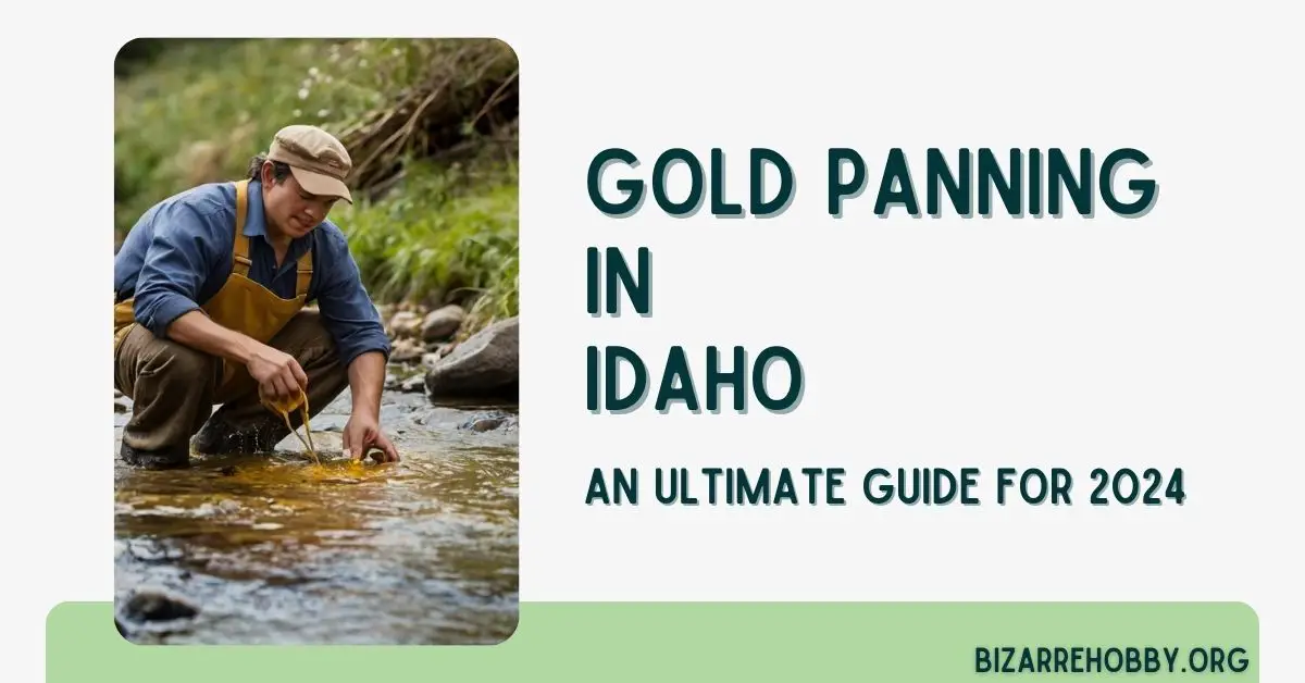 Gold Panning in Idaho - BizarreHobby