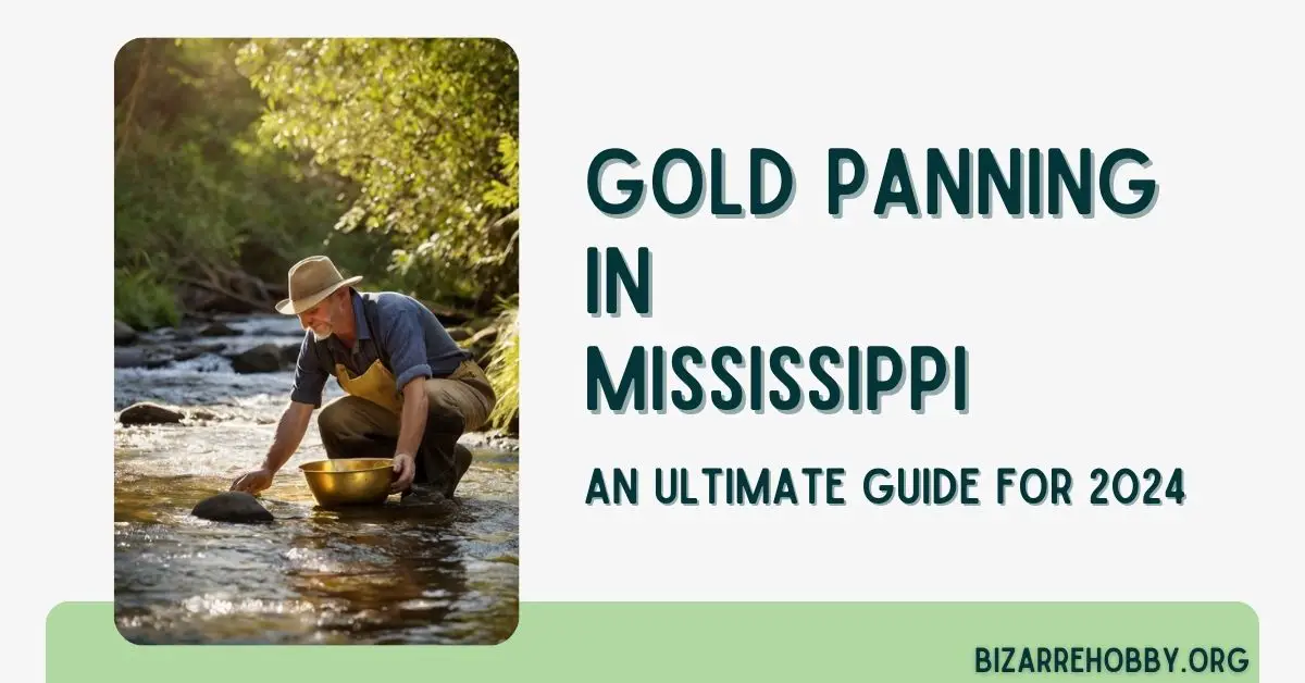 Gold Panning in Mississippi - BizarreHobby