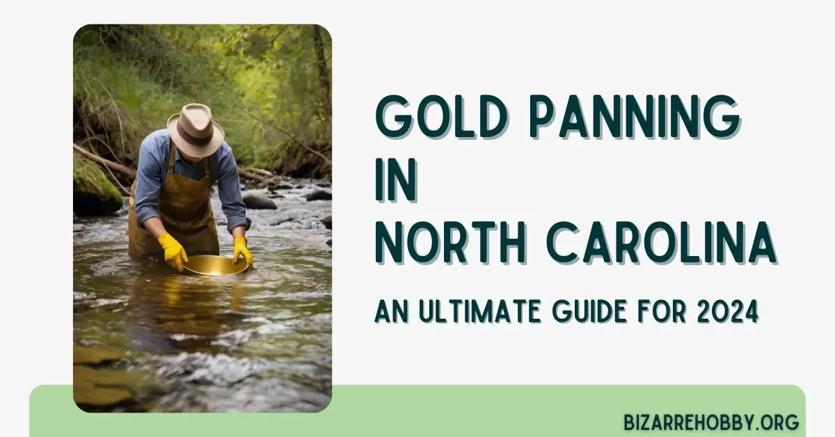Gold Panning in North Carolina - BizarreHobby