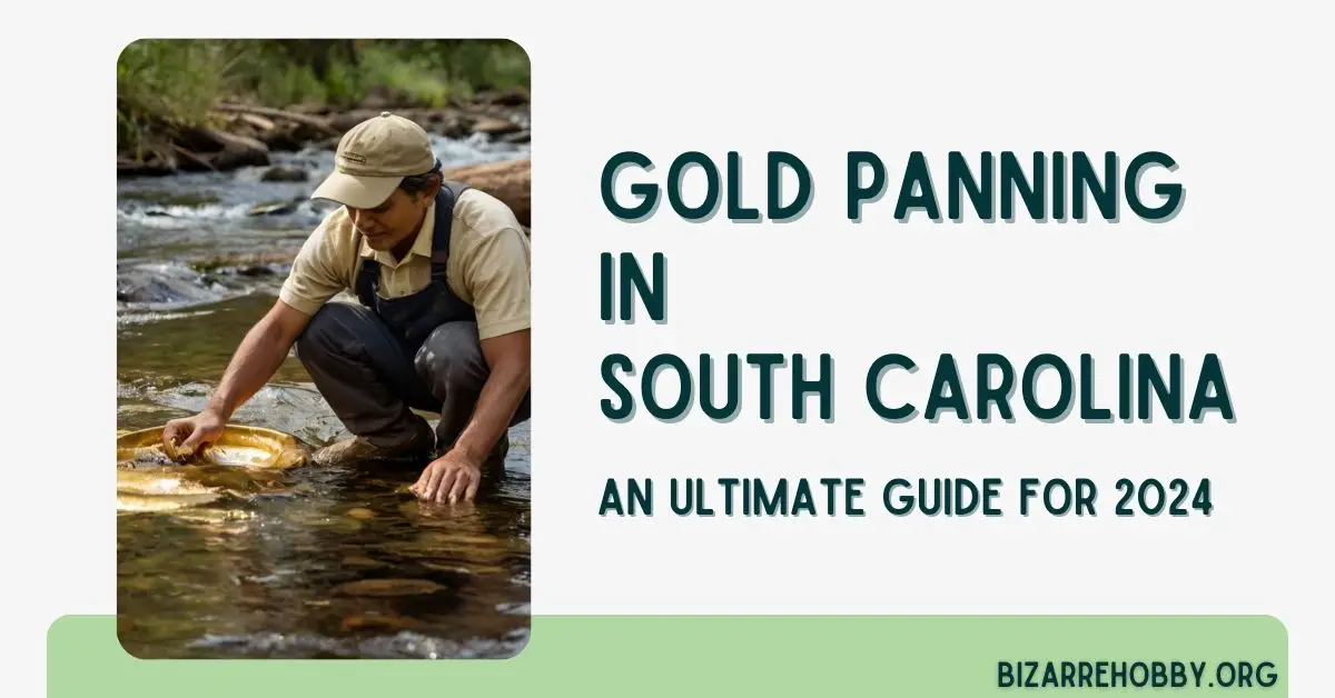 Gold Panning in South Carolina - BizarreHobby