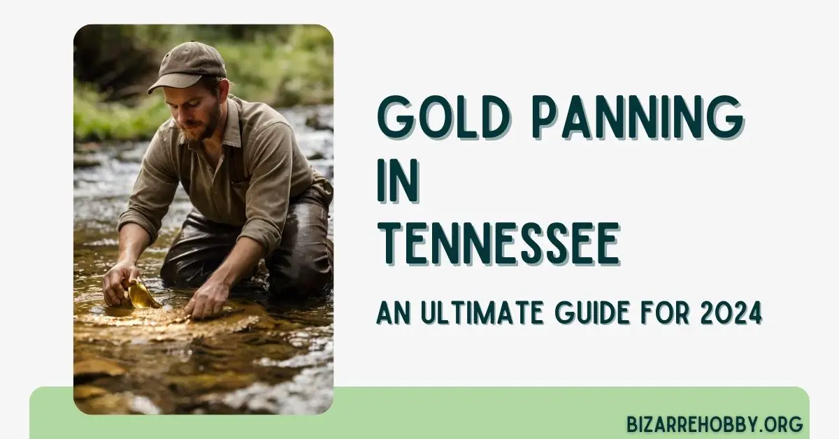 Gold Panning in Tennessee - BizarreHobby