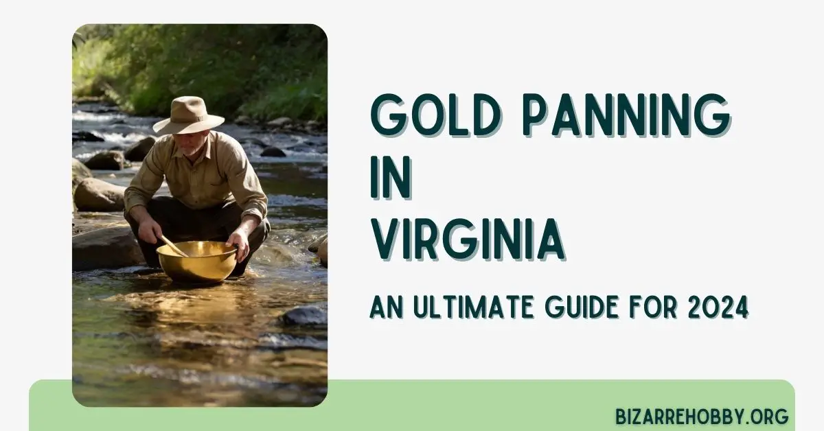 Gold Panning in Virginia - BizarreHobby