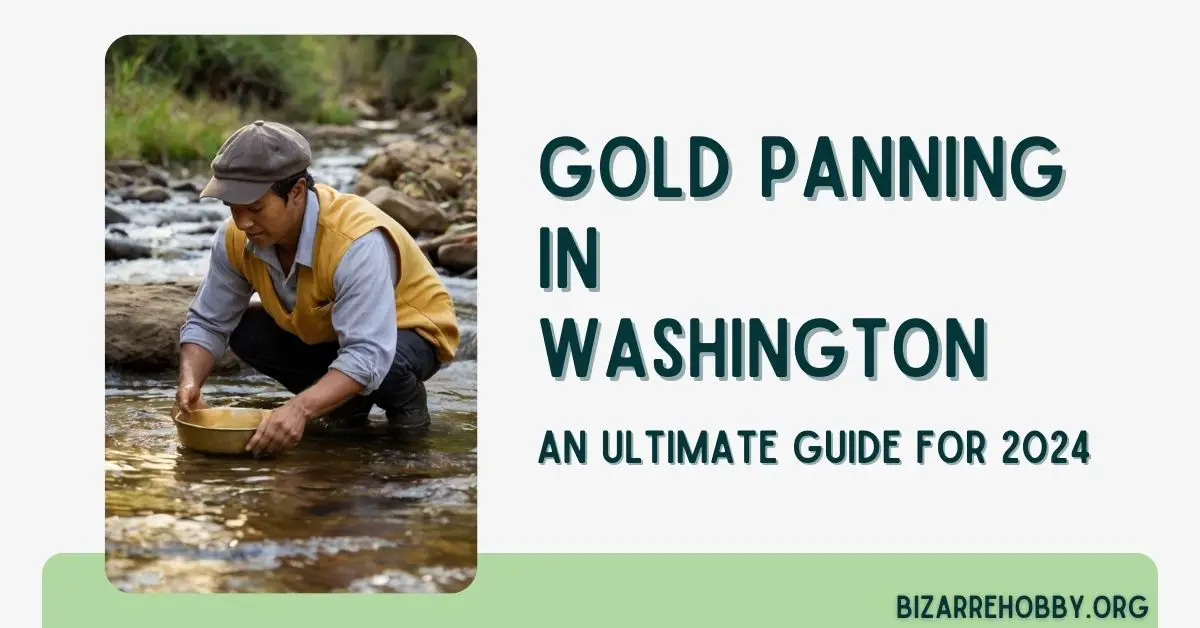 Gold Panning in Washington - BizarreHobby