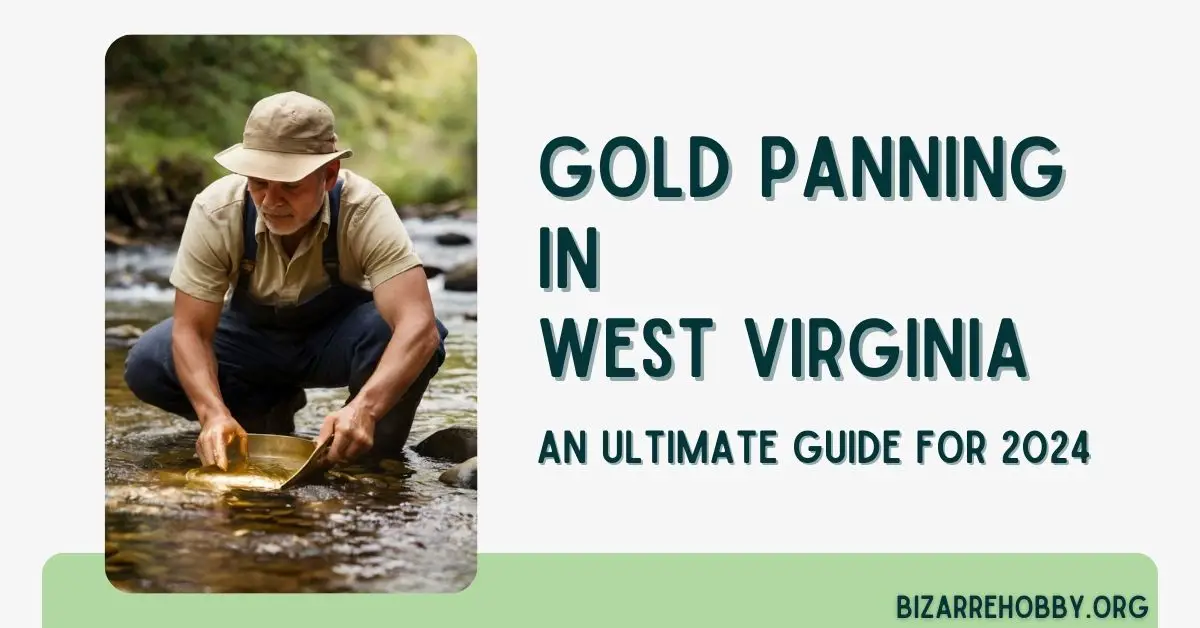 Gold Panning in West Virginia - BizarreHobby