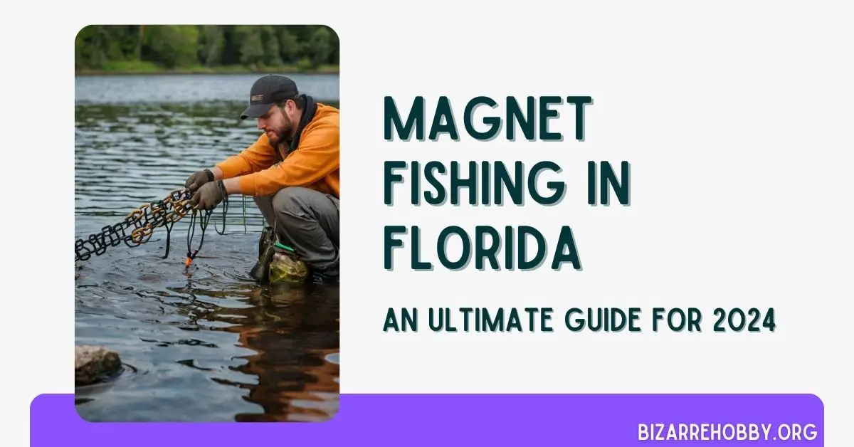Magnet Fishing in Florida - BizarreHobby