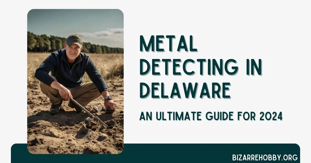 Metal Detecting in Delaware - BizarreHobby