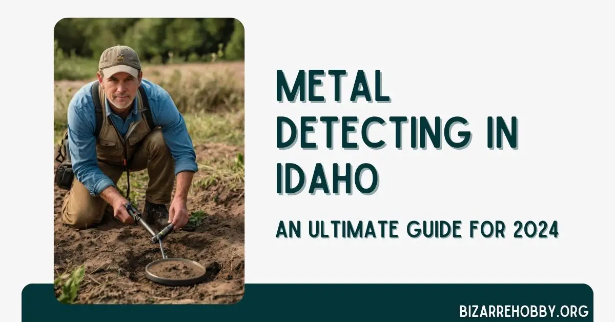 Metal Detecting in Idaho - BizarreHobby
