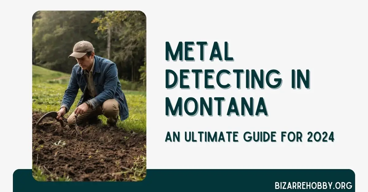 Metal Detecting in Montana - BizarreHobby