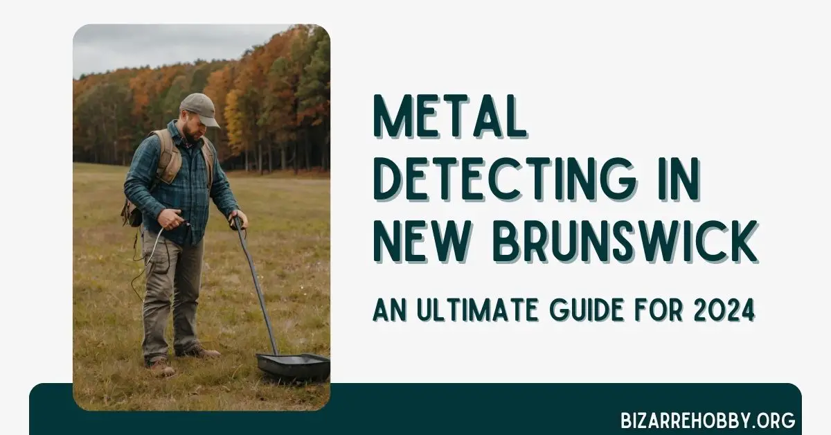 Metal Detecting in New Brunswick - BizarreHobby