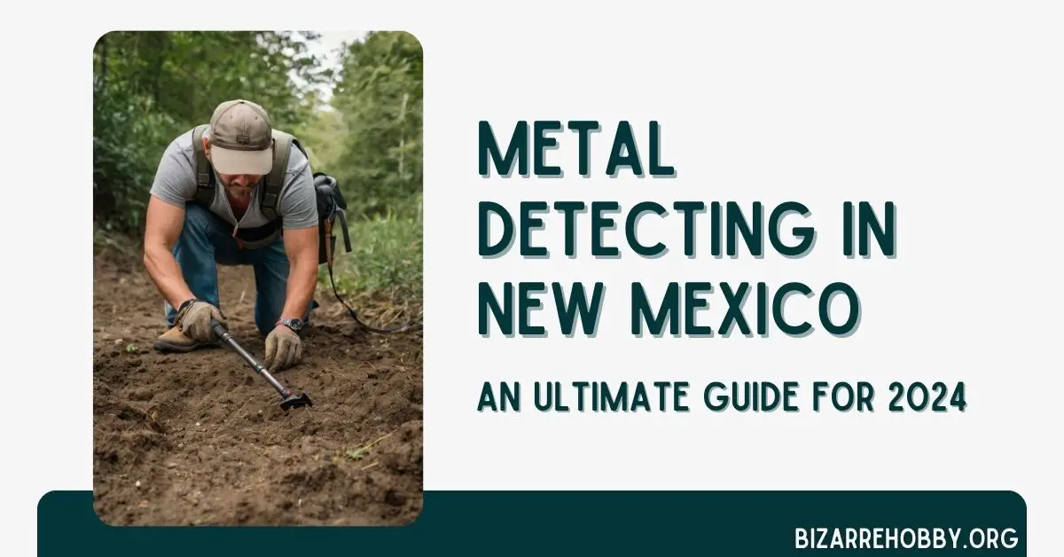 Metal Detecting in New Mexico - BizarreHobby