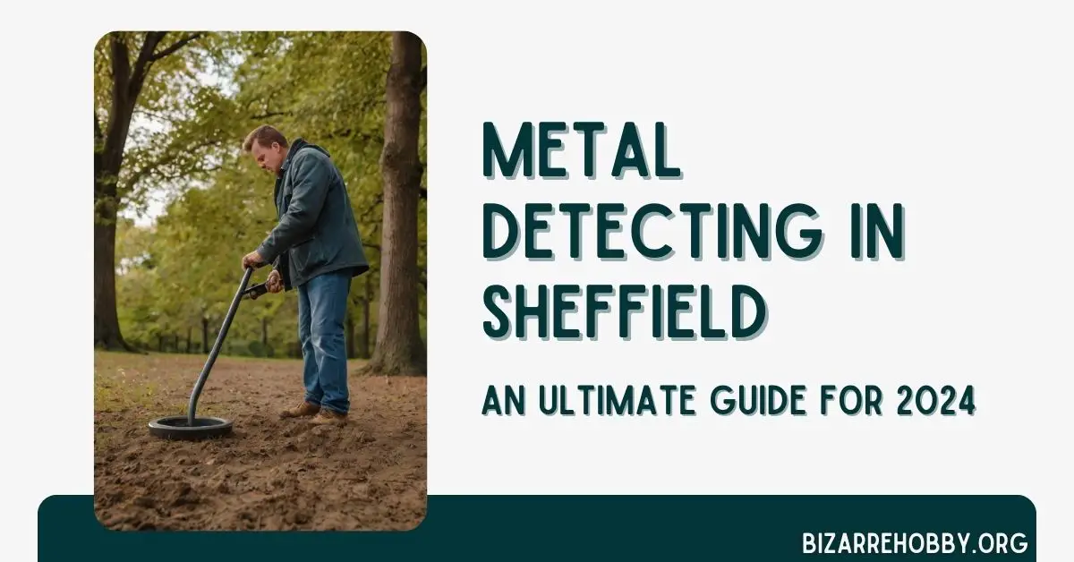 Metal Detecting in Sheffield - BizarreHobby