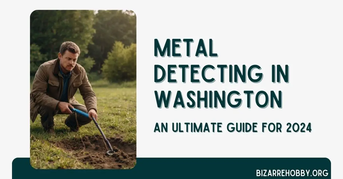 Metal Detecting in Washington - BizarreHobby