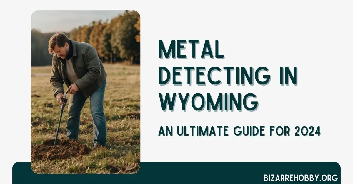Metal Detecting in Wyoming - BizarreHobby