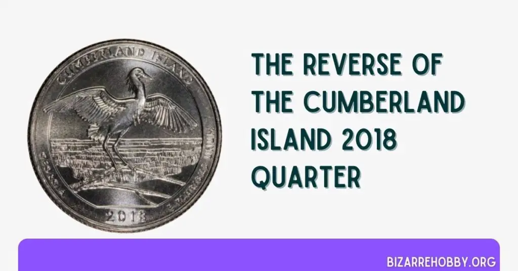 The Reverse Of The Cumberland Island 2018 Quarter - BizarreHobby