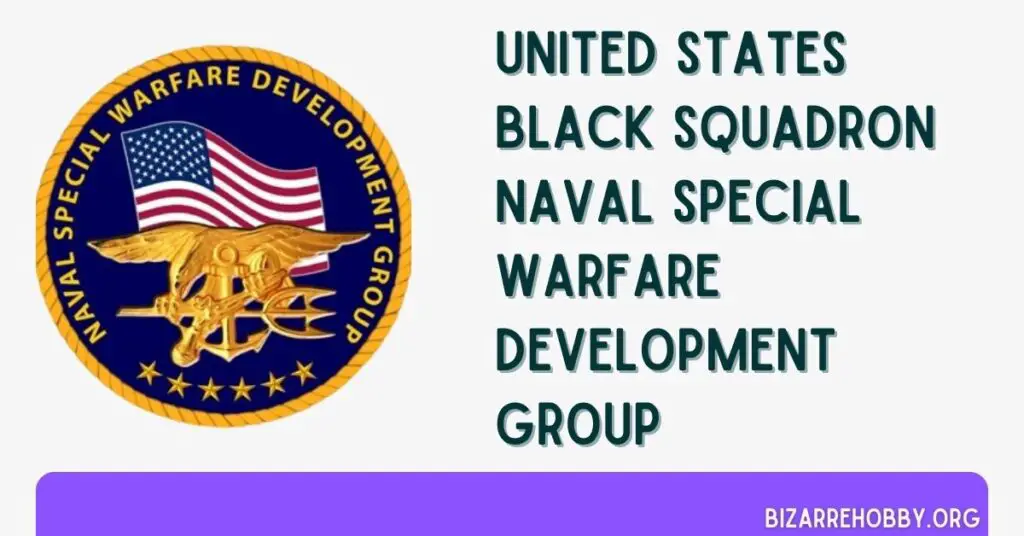 United States Black Squadron Naval Special Warfare Development Group - BizarreHobby