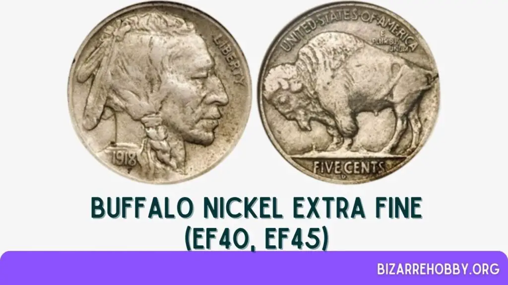 Buffalo Nickel Buffalo Nickel Extra Fine (EF40, EF45) - BizarreHobby