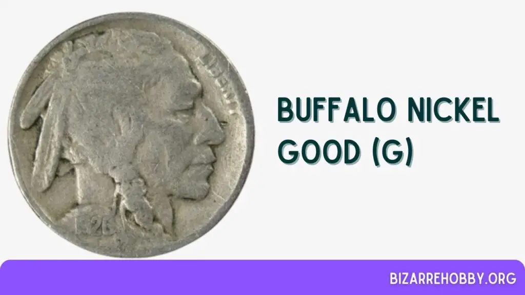 Buffalo Nickel Good (G) - BizarreHobby