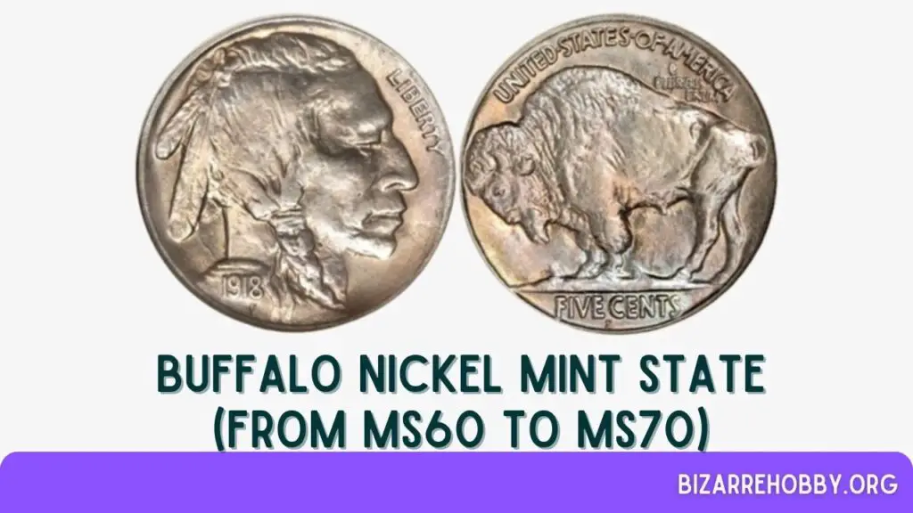 Buffalo Nickel Mint State (from MS60 to MS70) - BizarreHobby