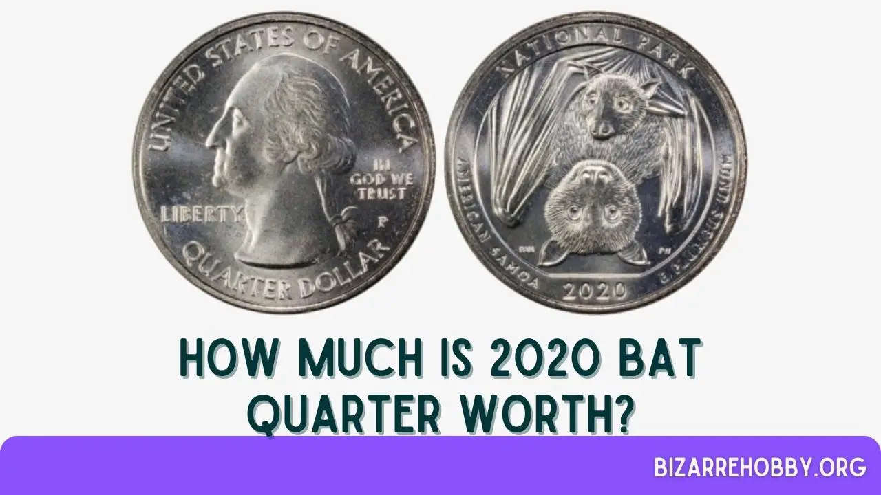 How Much Is 2020 Bat Quarter Worth - BizarreHobby