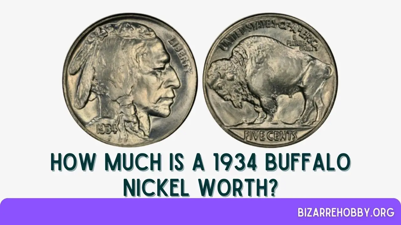 How Much Is a 1934 Buffalo Nickel Worth - BizarreHobby