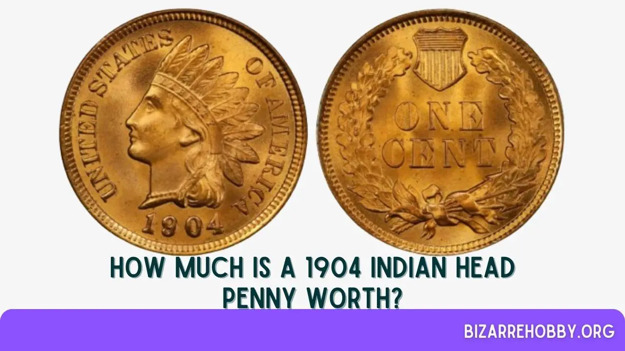 How Much is a 1904 Indian Head Penny Worth - BizarreHobby