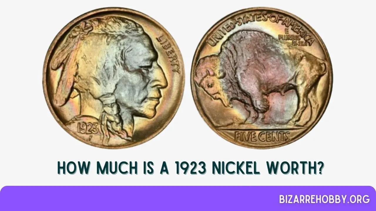 How Much is a 1923 Nickel Worth? - BizarreHobby