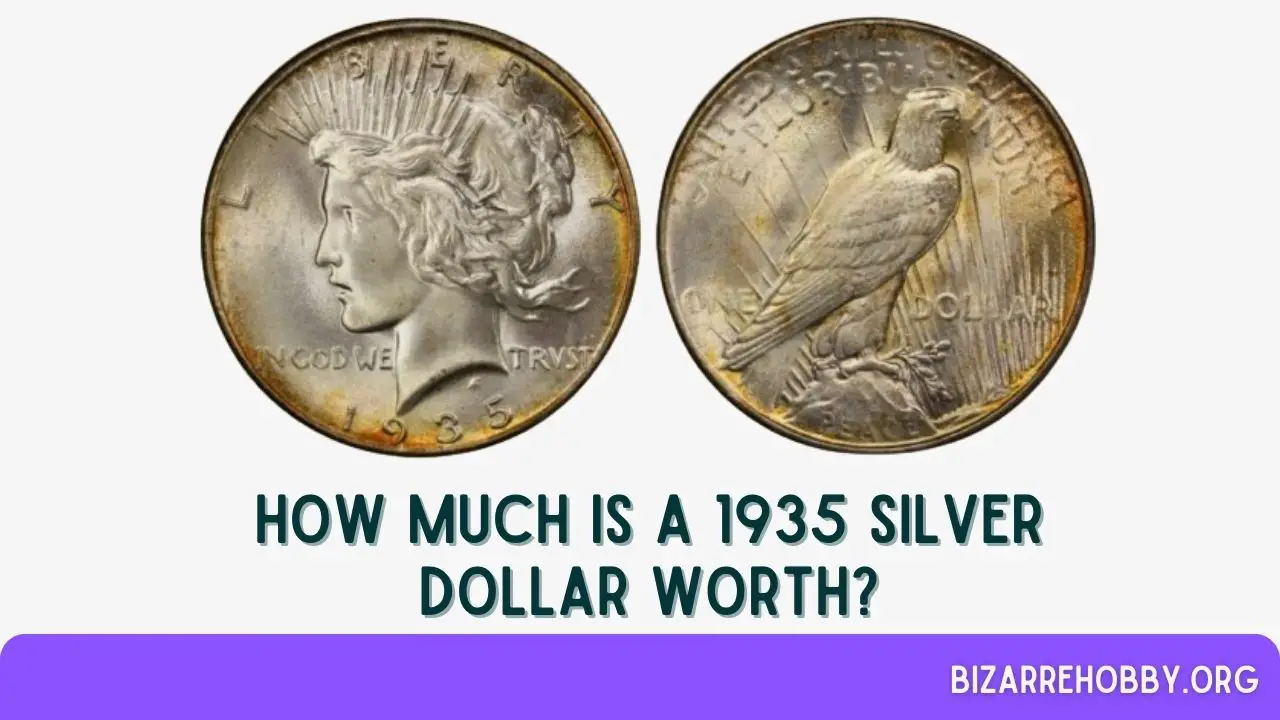 How Much is a 1935 Silver Dollar Worth? - BizarreHobby