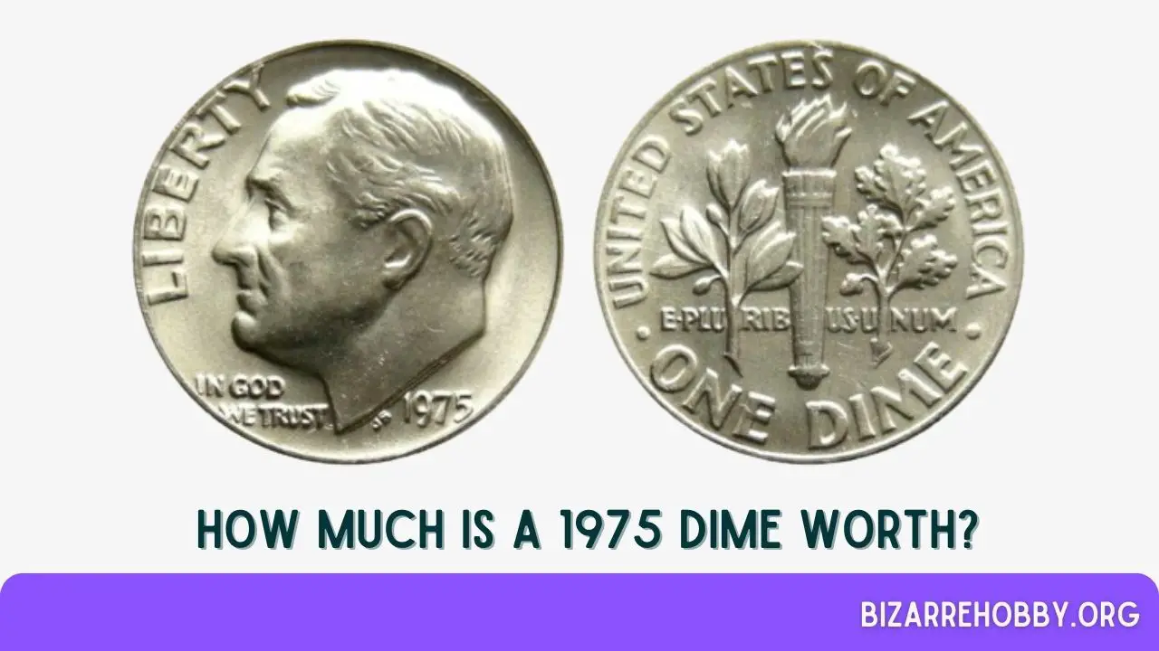 How Much is a 1975 Dime Worth? - BizarreHobby