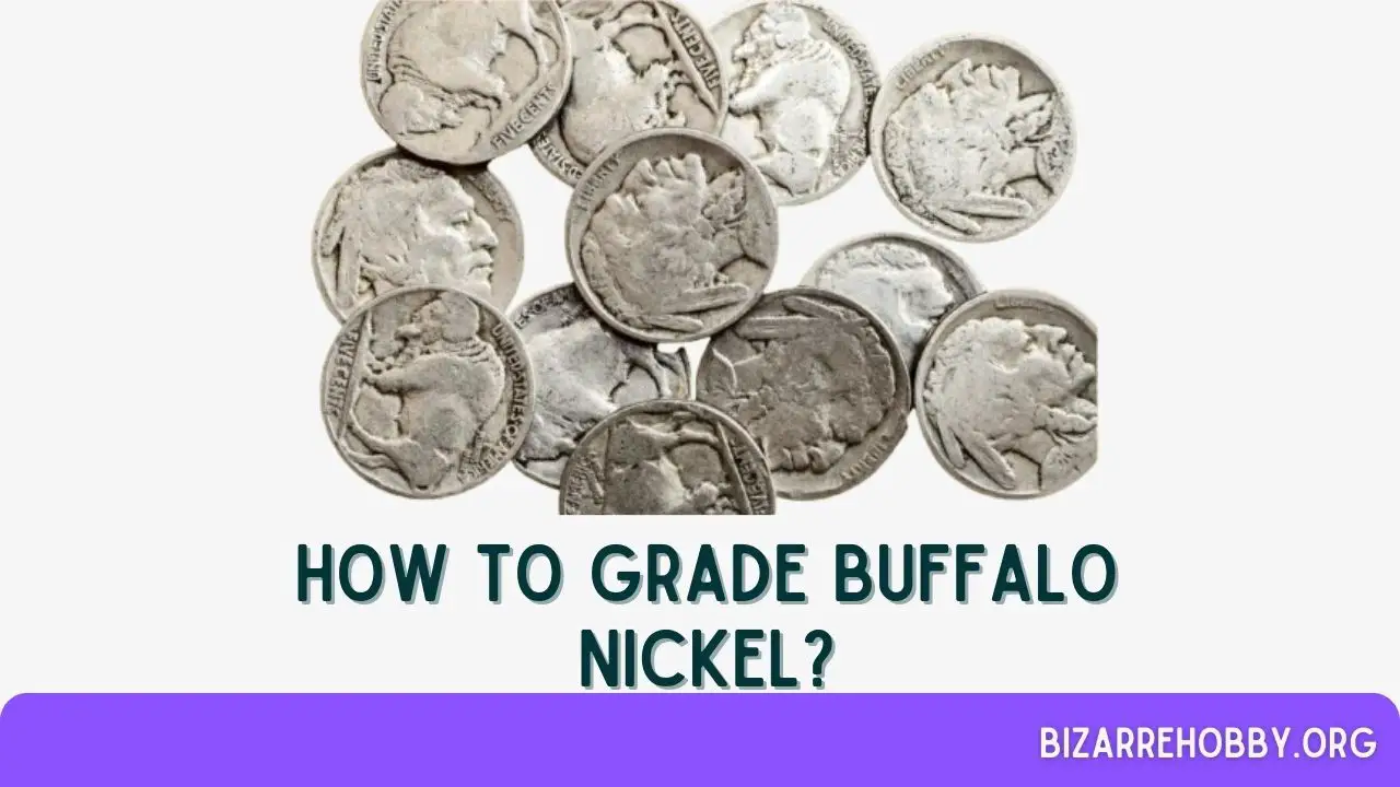 How to Grade Buffalo Nickel - BizarreHobby