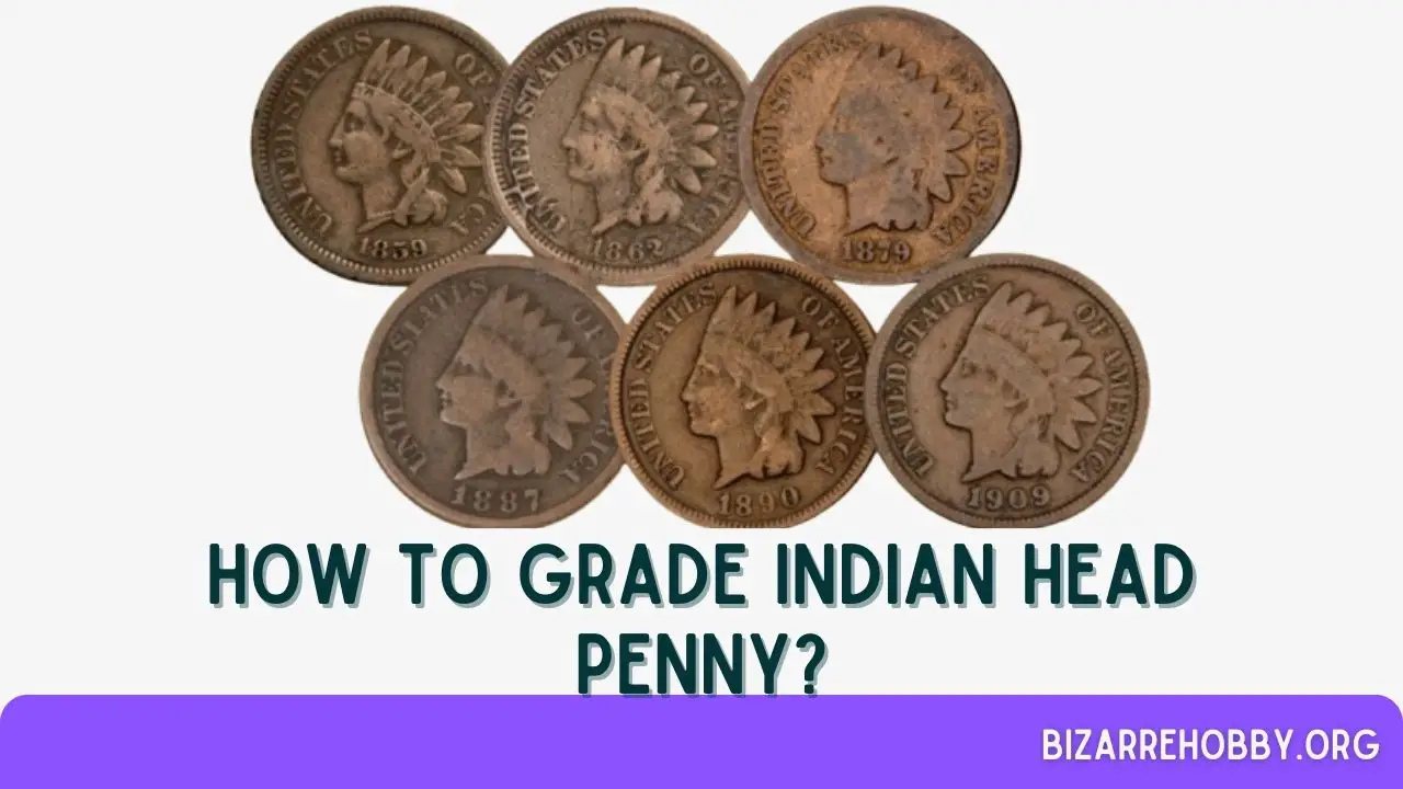 How to Grade Indian Head Penny - BizarreHobby