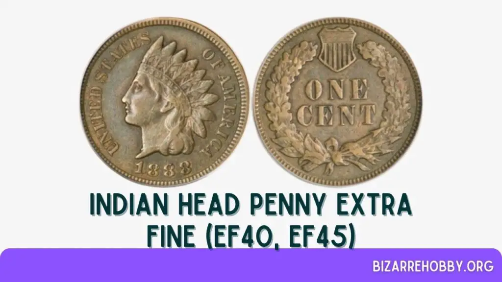 Indian Head Penny Extra Fine (EF40, EF45) - BizarreHobby