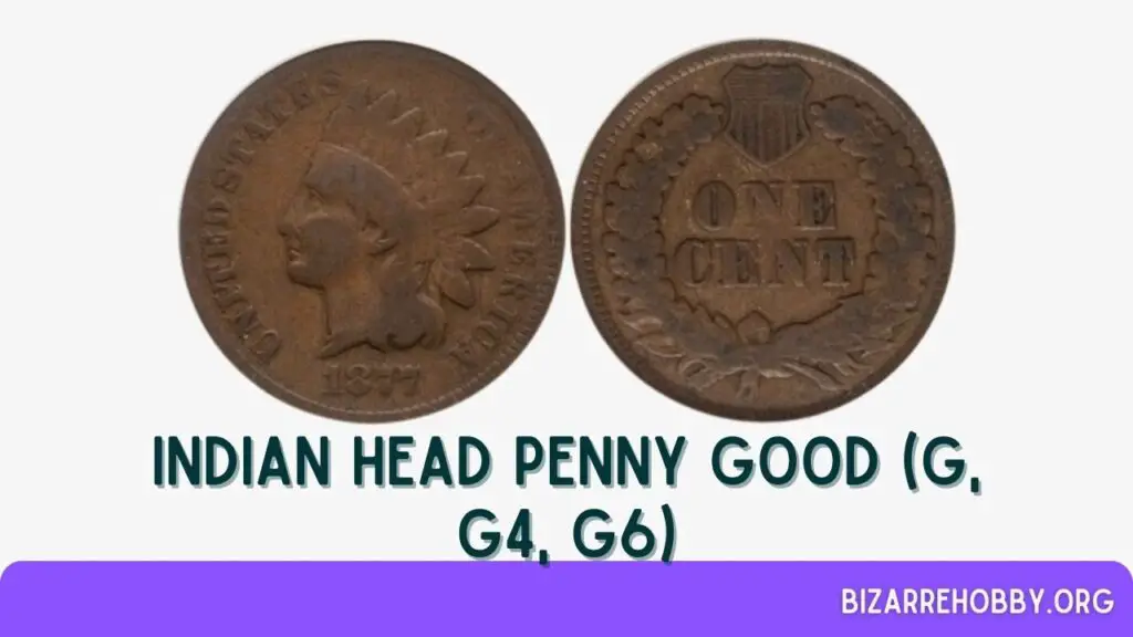 Indian Head Penny Good (G, G4, G6) - BizarreHobby