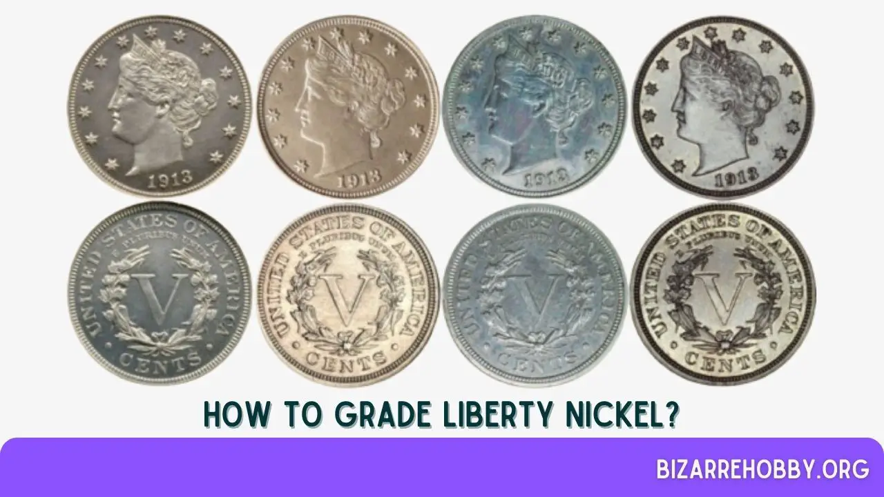 How to Grade Liberty Nickel? - BizarreHobby