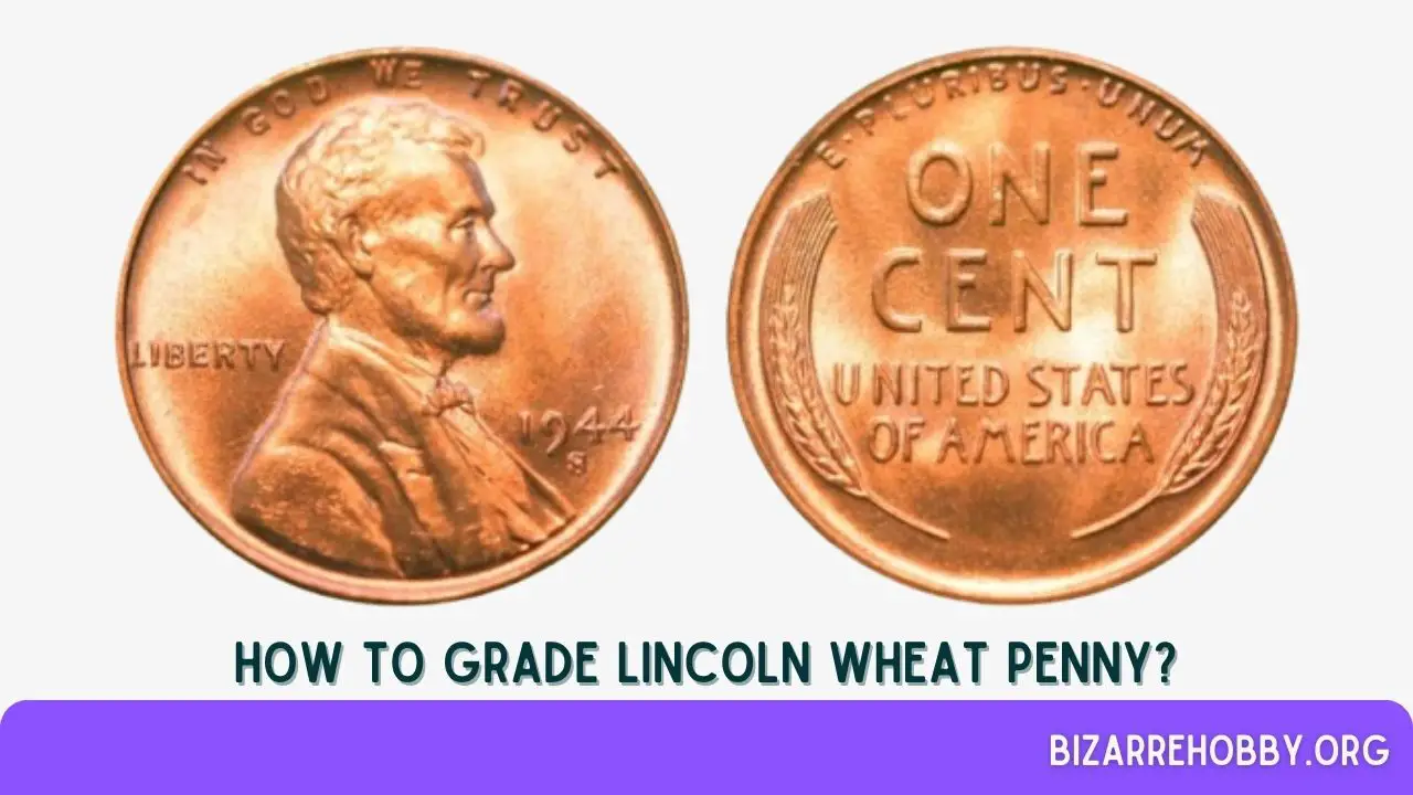 How to Grade Lincoln Wheat Penny? - BizarreHobby