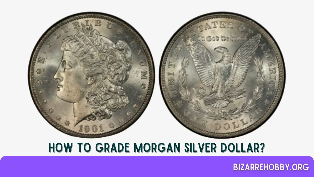 How to Grade Morgan Silver Dollar? - BizarreHobby