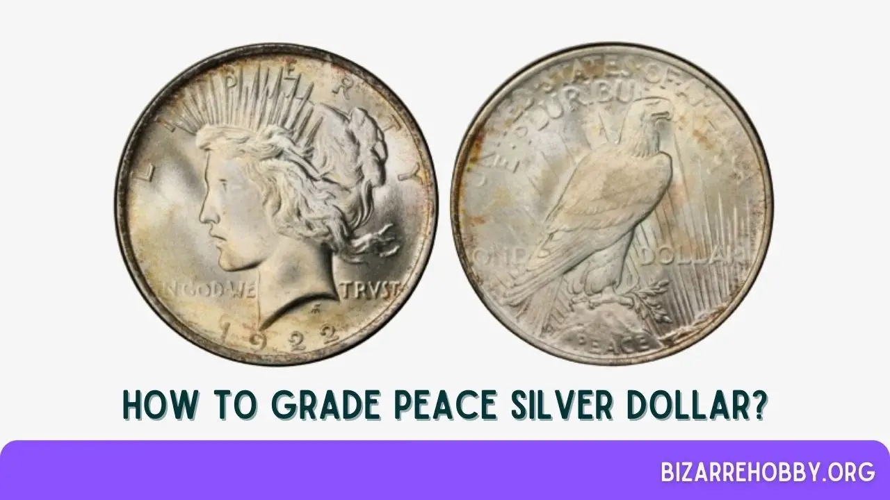 How to Grade Peace Silver Dollar? - BizarreHobby