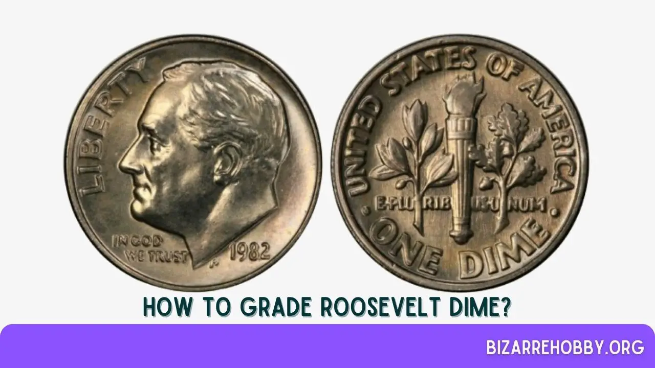 How to Grade Roosevelt Dime? - BizarreHobby